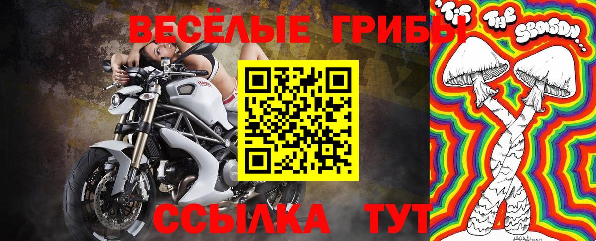 Псилоцибиновые грибы мицелий Кубинка